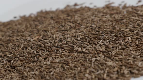 Tiny caraway seed on pile 4K slow pan footage