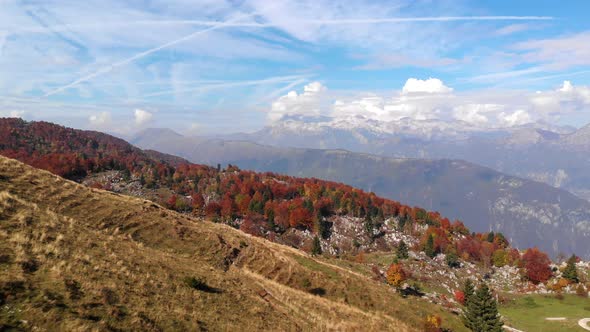 Flying over pasture with a view towards Julian alps.