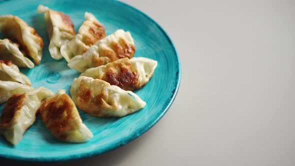 Traditional Asian Dumplings Gyozas on Turqoise Ceramic Plate