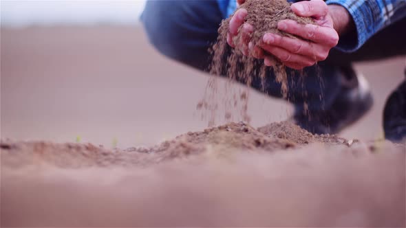 Farmer Examining Organic Soil in Hands, Farmer Touching Dirt in Agriculture Field.