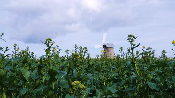 Old Windmill At The Field 