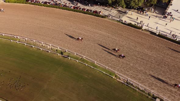 Horses trotting to starting point in racecourse of Buenos Aires at sunset. Aerial drone view