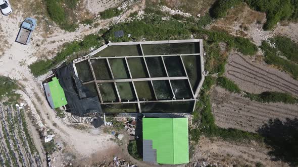 Pool Compartments Fishes Drone Farm