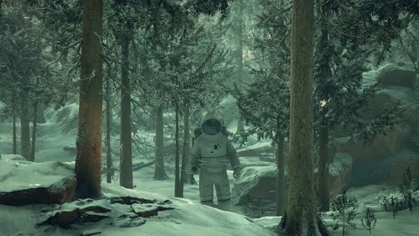 Astronaut Exploring Forest in Snow