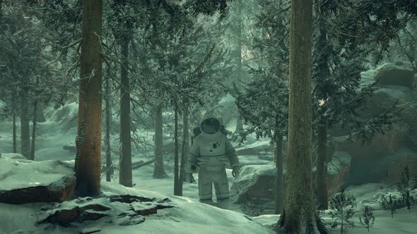 Astronaut Exploring Forest in Snow alt