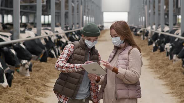 Boy and Woman in Face Masks Using Tablet at Dairy Farm