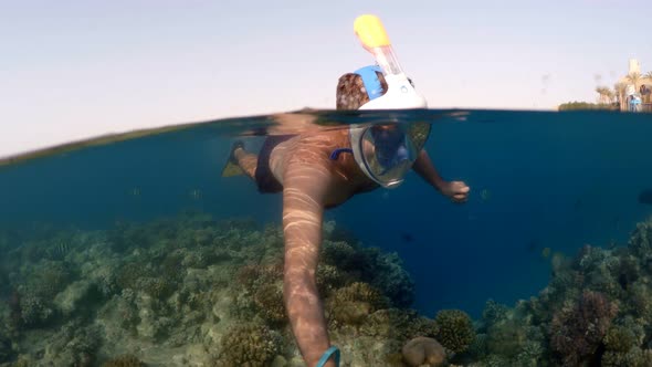 Snorkel swim split view, Red Sea, Egypt