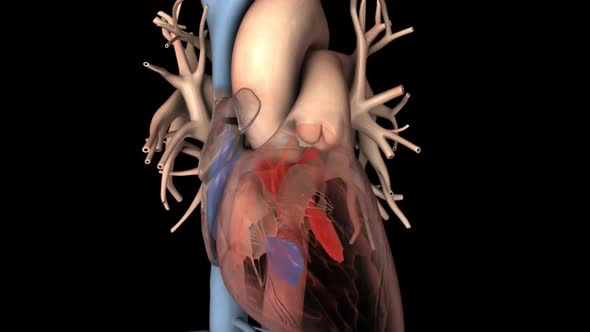 Atrial Fibrillation with medical digital technology concept