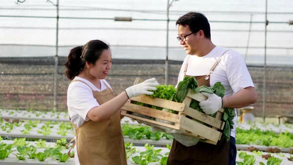 Happy Asian farmer couple checking organic vegetables in a hydroponic farm
