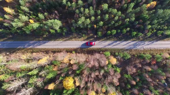 Car In Autumn Forest - Top Down Shot