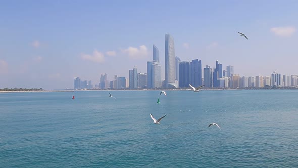 Abu Dhabi Cityscape During Sunny Day with Seagulls Flying Around View From Seaside