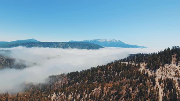 Bird's eye aerial view of thick clouds crawling along the slopes of wooded hills in California, USA