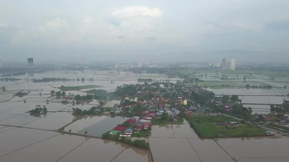 Aerial view small Malays village surrounded by flooded paddy field