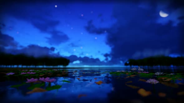 Moon Over The Lake At Night 3 D Animation Footage