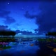 Moon Over The Lake At Night 3 D Animation Footage - VideoHive Item for Sale