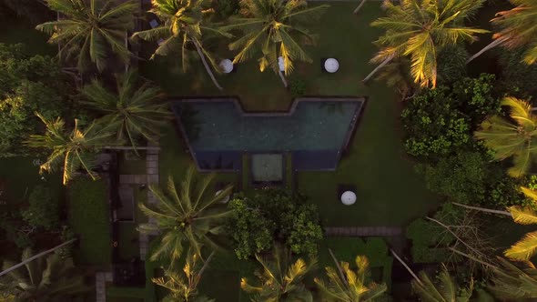 Aerial view of swimming pool between palm trees, Bali island, Indonesia.