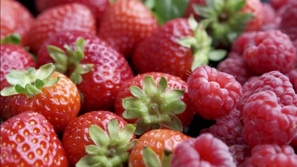 Colorful Berries Rotation Background