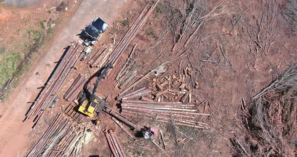 Log Loader Grabs a Log to Move It Truck with Construction Site of Preparation Land for New