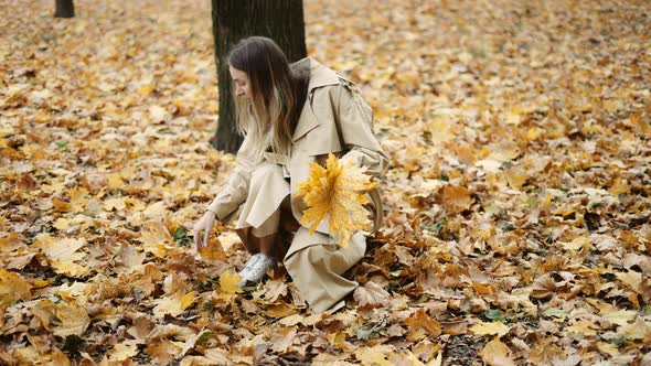 A Woman Collects Fallen Yellow Leaves in the Autumn Park