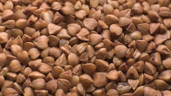Dry Raw Brown Buckwheat Groats Rotate  Macro