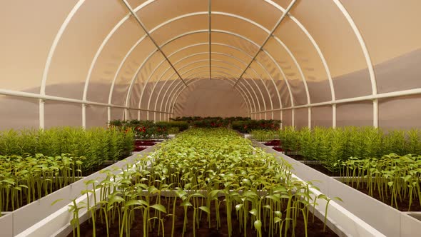 Greenhouse Agriculture On The Planet Mars