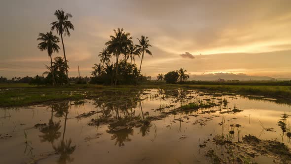 Timelapse paradise of reflection coconut island in natural area