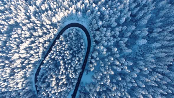 Bird's Eye View Of Winter Winding Road In The Middle Of The Forest