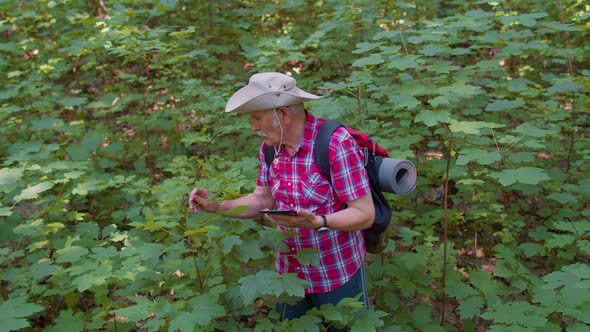 Active Elderly Senior Grandfather Adventurer Exploring Forest Trees Plants with Her Digital Tablet