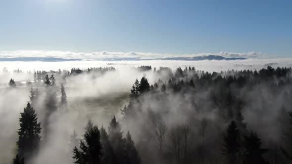 4K Drone flight above fog and clouds over a wilderness landscape on a bright sunny day