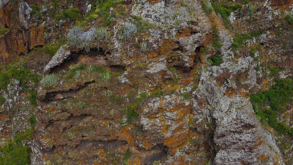 Rising Along a Rocky Landscape Covered with Sparse Vegetation