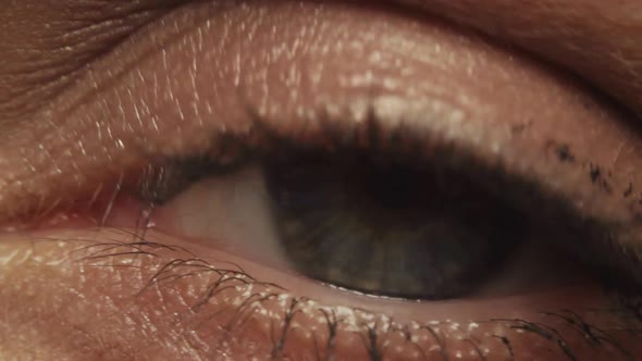 Woman Eye with Mascara on Her Eyelashes - Macro Shot