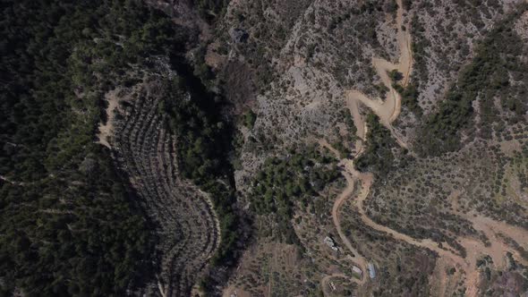 Sloping Forest Road and Farmland