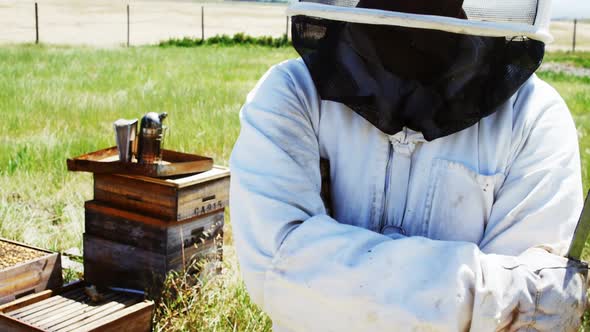 Confident beekeeper standing with arms crossed