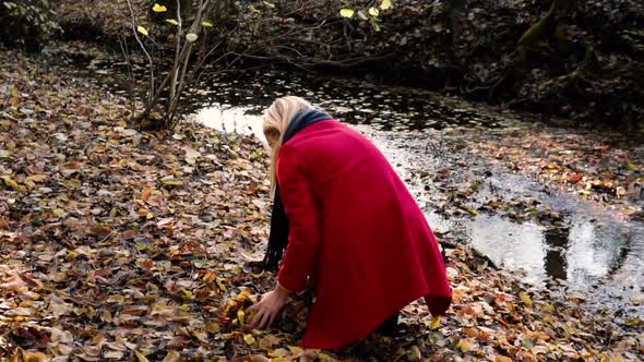 SLOWMOTION Young beautiful woman picking up leaves from the orange brown autumn forest ground while