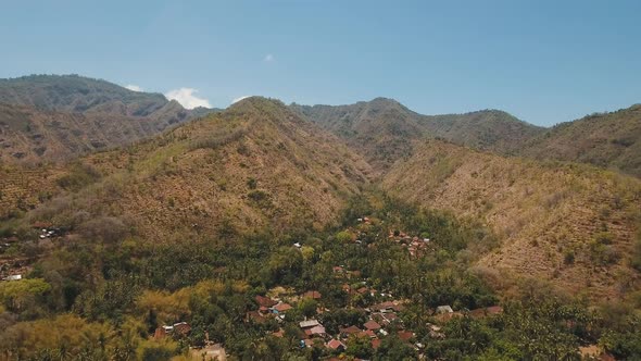 View of Mountain Forest Landscape