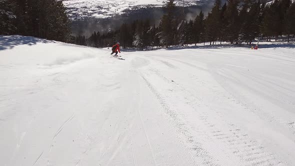 Group of Fun People Skiing Downhill on Beautiful Snowy Mountain in Forest Landscape. Winter Sports