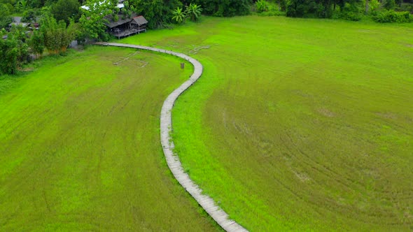 Thung Na Mui Bridge in the Rice Terraces in Nakhon Nayok Thailand