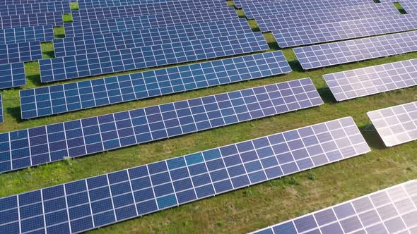 Flight Over a Field of Solar Panels in Sunny Summer Day