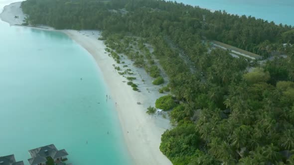 Maldives Tropical Beach with Coconut Palm Trees and Resort Area and White Sand Beach