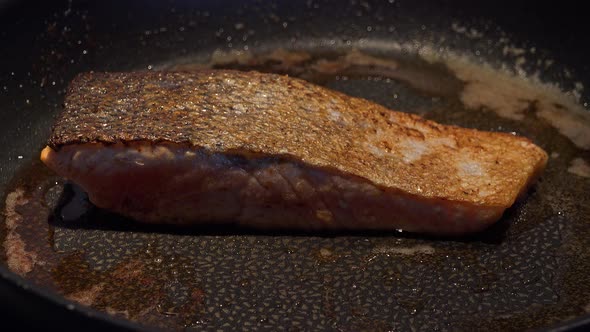 Salmon Fillet Fries on a Pan - Closeup - Timelapse