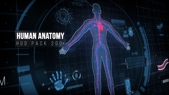 Human Anatomy Hud Elements  200 alt