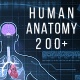 Human Anatomy Hud Elements  200 - VideoHive Item for Sale