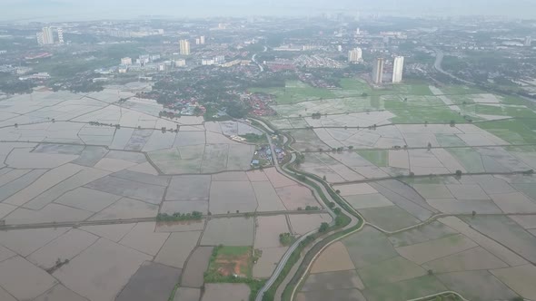 Aerial view look down paddy field