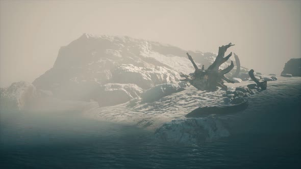 Rocky Cliff with Sand Beach in Deep Fog