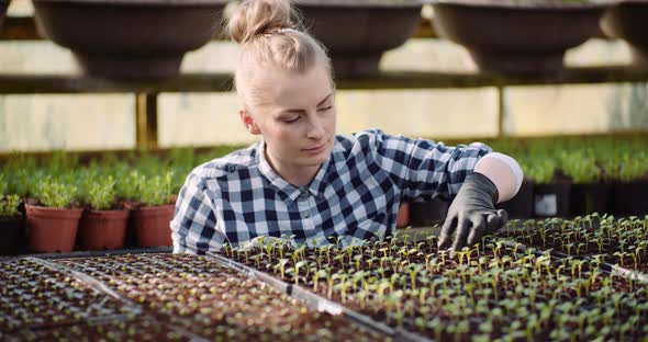 Female Botanist Examining Plants at Grenhouse