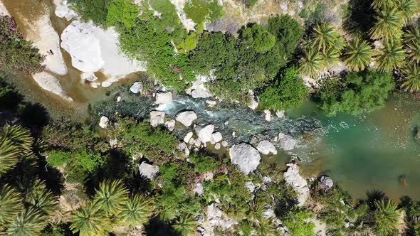 A waterfall that flows through a great and very green palm forest. The waterfall has a lot of stones