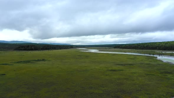 Aerial shot low over the calm, murky waters of Shirley Bog winding through the Maine countryside sur