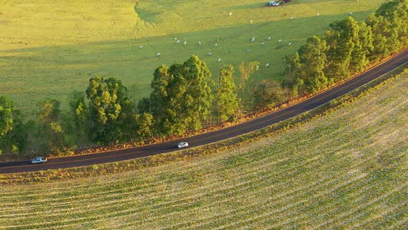 Rural landscape at countryside scenery. Rural life scene.