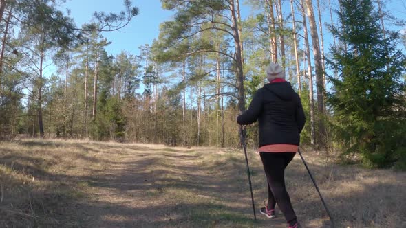 Follow cam of an elder woman hiking through the forest during spring, using hiknig sticks.