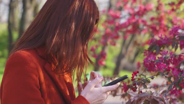 Attractive Young Redhaired Woman Uses Smatphone in Park at Sunset